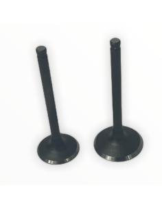 Zawory komplet pitbike 140 MRF