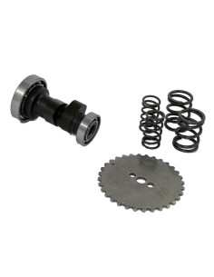 Tuningowy wałek rozrządu Z40 +2KM pitbike MRF