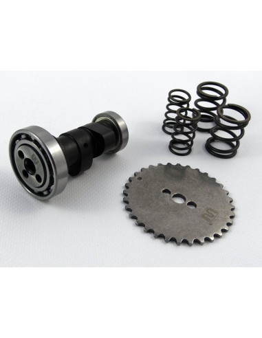 Tuningowy wałek rozrządu Z40 +2KM pitbike MRF