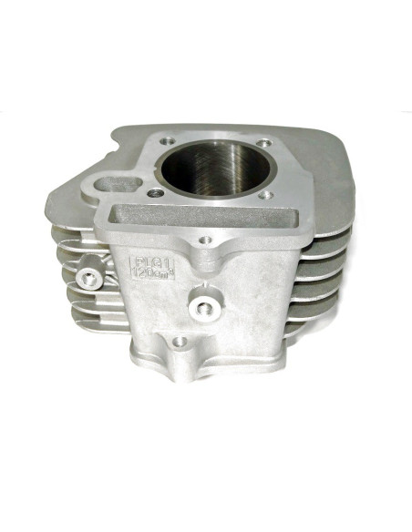 Cylinder pitbike 120 MRF