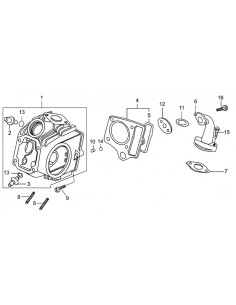 Śruba króciec/głowica pitbike 120 MRF