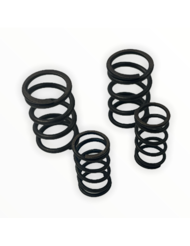 Sprężyny zaworowe pitbike 120 MRF