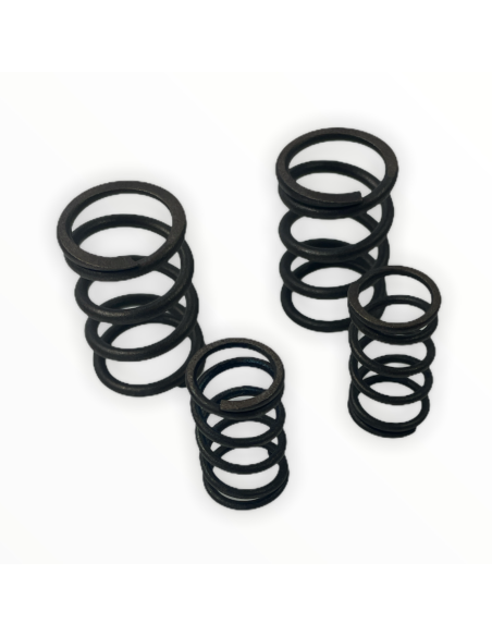 Sprężyny zaworowe pitbike 120 MRF