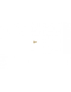 Śruba wysprzęglika pitbike 120 MRF