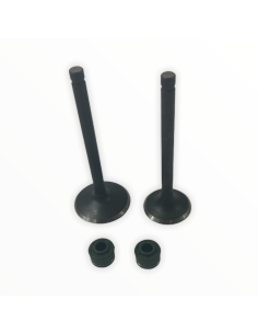 Zawory komplet pitbike 170 MRF