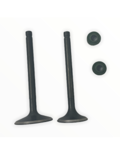 Zawory komplet pitbike 170 MRF 2