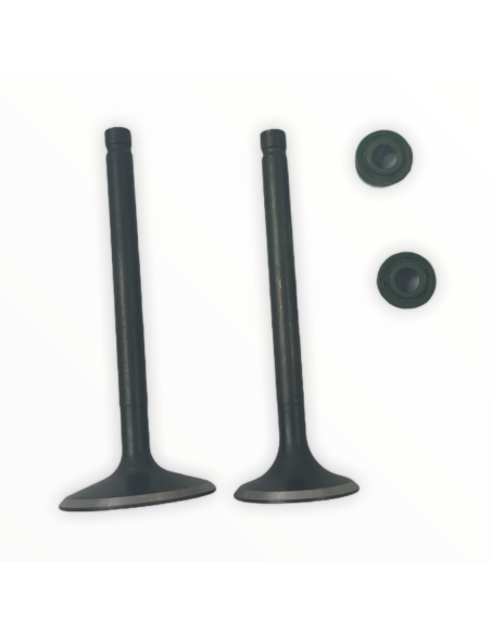 Zawory komplet pitbike 170 MRF