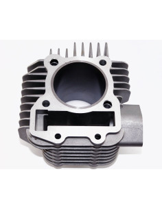 Cylinder pitbike 170 MRF 2