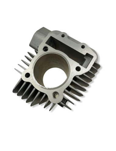 Cylinder pitbike 170 MRF