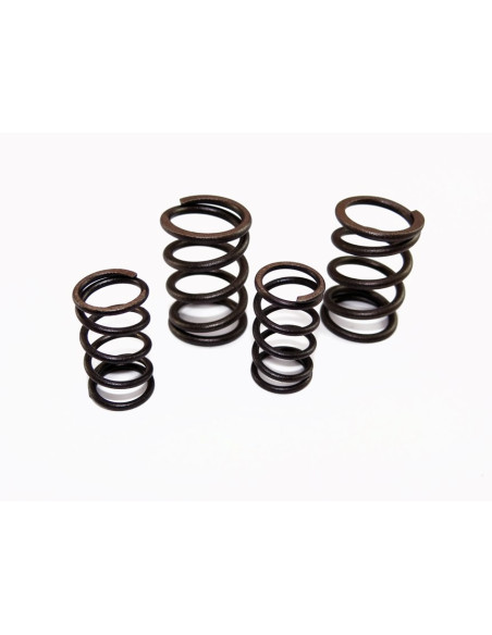 Sprężyny zaworowe komplet pitbike 170 MRF