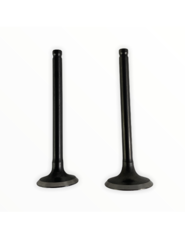 Zawory komplet pitbike 80 MRF