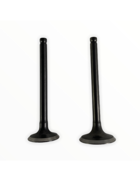 Zawory komplet pitbike 80 MRF