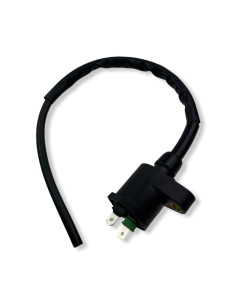 Cewka zapłonowa pitbike YCF