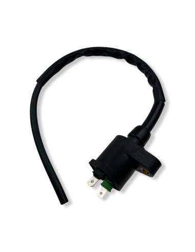 Cewka zapłonowa pitbike YCF