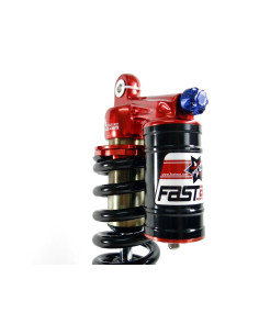 Amortyzator 280mm 1000lbs ze zbiornikiem FASTACE M 2