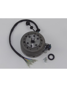 Stator i magneto 12V 6 cewek pitbike MRF 2