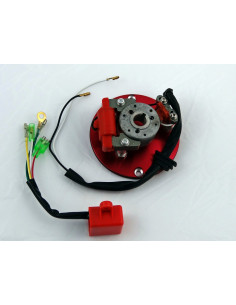 Inner rotor kit pitbike MRF