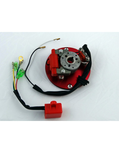 Inner rotor kit pitbike MRF