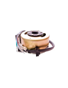 Stator i magneto 2 cewki pitbike 80/120 MRF