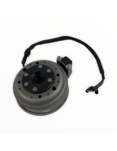 Stator i magneto pitbike 140 MRF