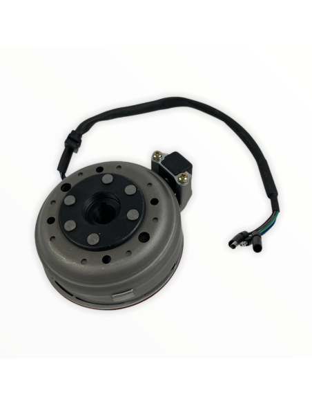 Stator i magneto pitbike 140 MRF