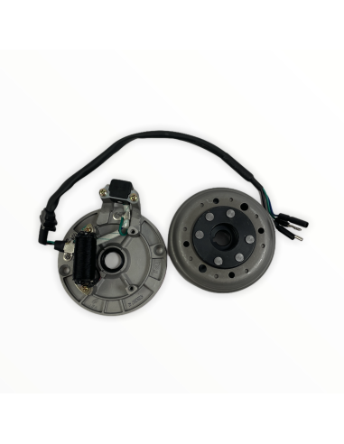 Stator i magneto pitbike 140 MRF