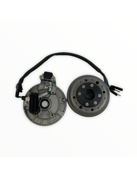 Stator i magneto pitbike 140 MRF