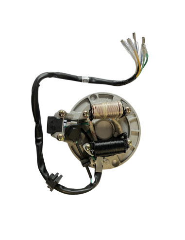 Stator 2 cewki pitbike 80/120 MRF