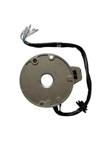 Stator 2 cewki pitbike 80/120 MRF