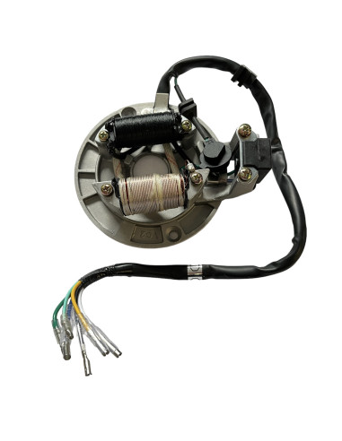 Stator 2 cewki pitbike 80/120 MRF