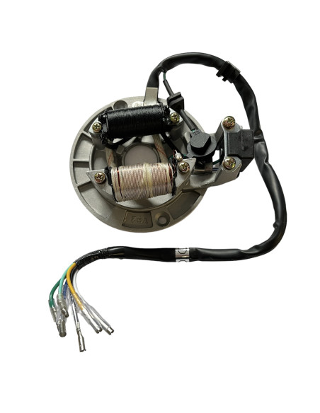 Stator 2 cewki pitbike 80/120 MRF