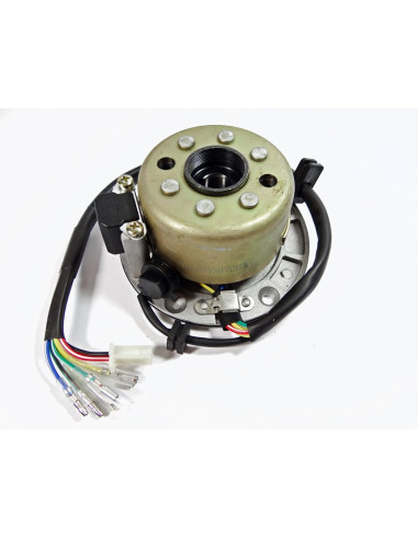 Stator i magneto pitbike 170 MRF