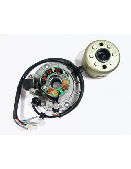 Stator i magneto pitbike 170 MRF