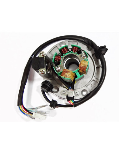 Stator i magneto pitbike 170 MRF