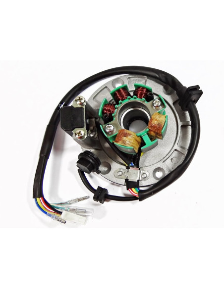Stator i magneto pitbike 170 MRF