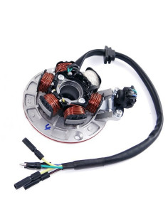 Stator 6 cewek pitbike MRF