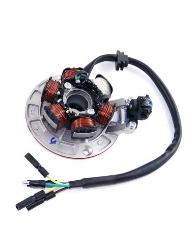 Stator 6 cewek pitbike MRF