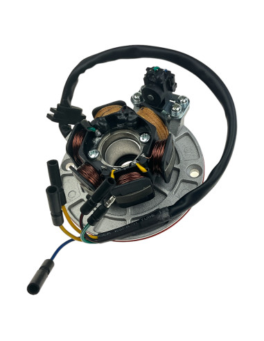 Stator 6 cewek ORK pitbike MRF