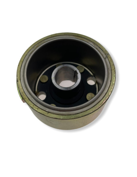 Magneto lekkie pitbike 170 MRF