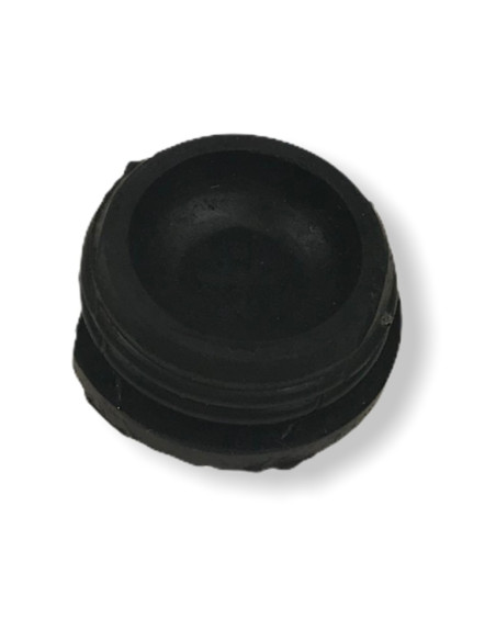 Zaślepka wałka krzywkowego 140 MRF