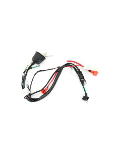 Wiązka przewodów z rozrusznikiem TS90 Kayo 2