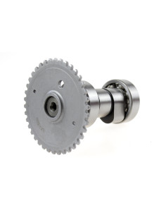 Wałek rozrządu quad AU200 T3B Kayo