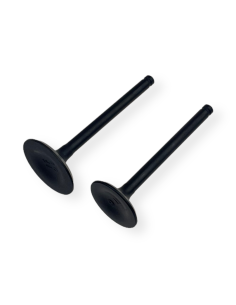 Zawory 125 pitbike Kayo