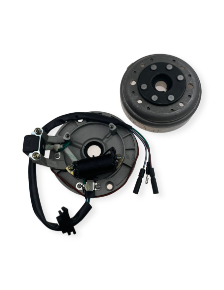 Stator i magneto 125 pitbike Kayo