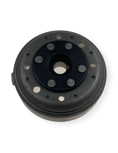 Magneto 125 pitbike Kayo