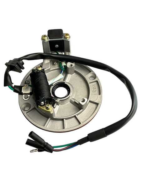 Stator 125 pitbike Kayo