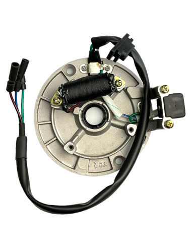 Stator 125 pitbike Kayo
