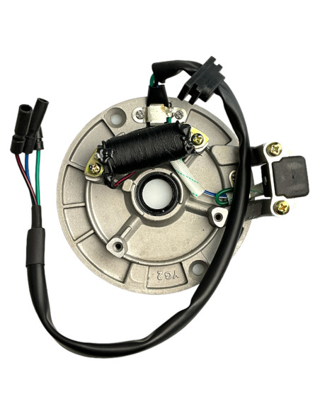 Stator 125 pitbike Kayo