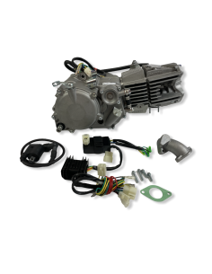 Silnik pitbike 150ccm ANIMA Daytona