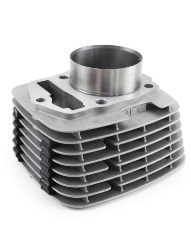 Cylinder 250-66 dirt bike Kayo